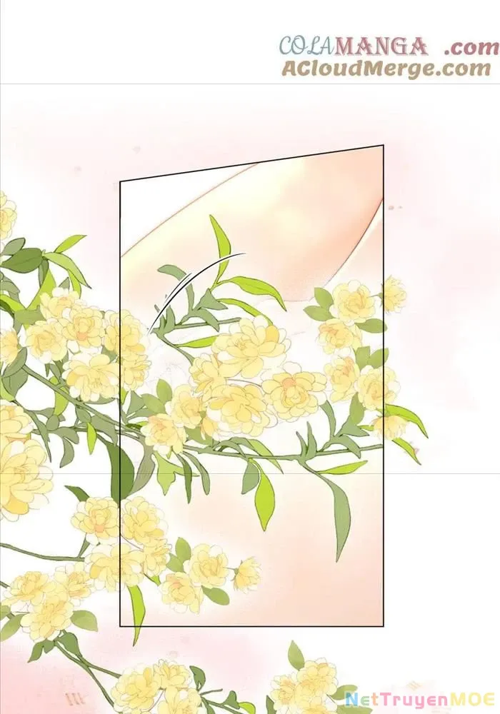 Em Chỉ Có Thể Là Của Tôi - Chapter 131 - Page 34