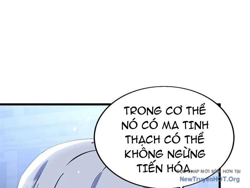 Mạt Thế Cẩu Sinh: Gián Giúp Ta Chồng Buff - Chapter 54 - Page 8