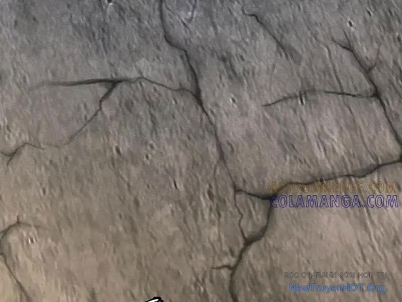 Toàn Cầu Ngự Thú: Ta Có Thể Thấy Lộ Tuyến Tiến Hoá - Chapter 33 - Page 121