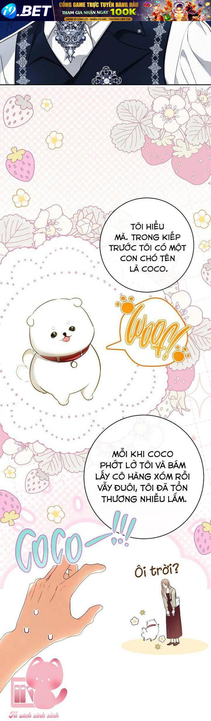 Hình Như Tôi Đã Xuyên Vào Cuốn Tiểu Thuyết Nào Đó Chapter 65 - Trang 21