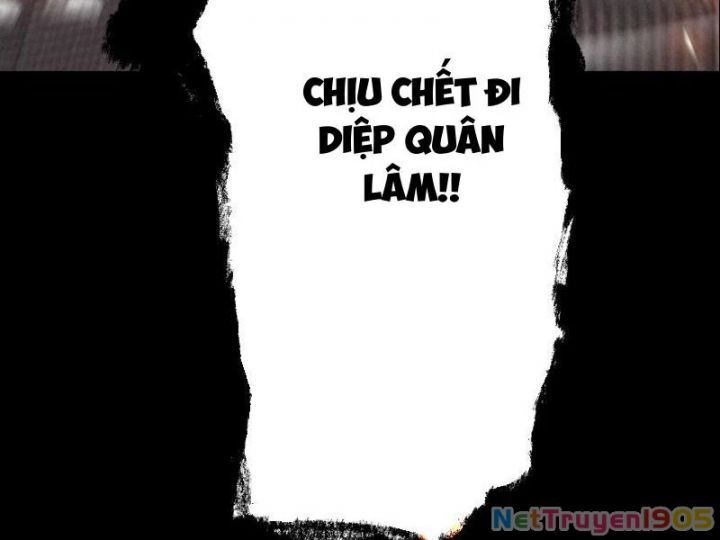 Gặp Mạnh Thì Càng Mạnh, Tu Vi Của Ta Không Giới Hạn - Chapter 60 - Page 5