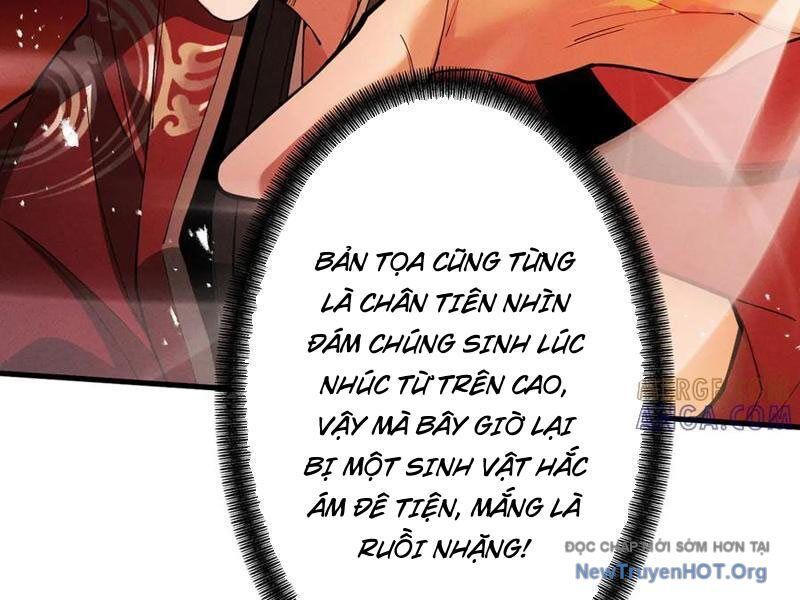 Gặp Mạnh Thì Càng Mạnh, Tu Vi Của Ta Không Giới Hạn - Chapter 65 - Page 126