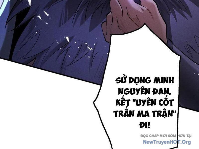 Gặp Mạnh Thì Càng Mạnh, Tu Vi Của Ta Không Giới Hạn - Chapter 65 - Page 23