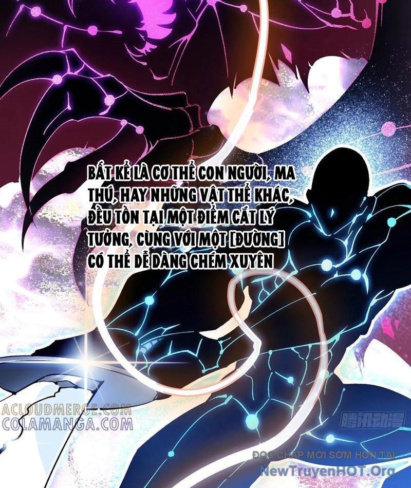 Cao Võ Tiến Hóa: Bắt Đầu Thức Tỉnh Quái Thú Chi Vương - Chapter 47 - Page 16