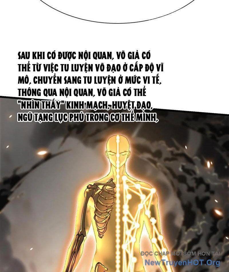 Cao Võ Tiến Hóa: Bắt Đầu Thức Tỉnh Quái Thú Chi Vương - Chapter 47 - Page 25
