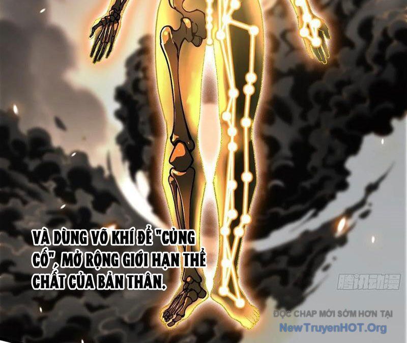 Cao Võ Tiến Hóa: Bắt Đầu Thức Tỉnh Quái Thú Chi Vương - Chapter 47 - Page 26