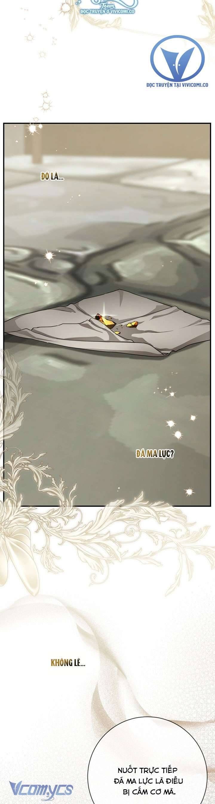 Lần Nữa Toả Sáng Chapter 110 - Trang 14