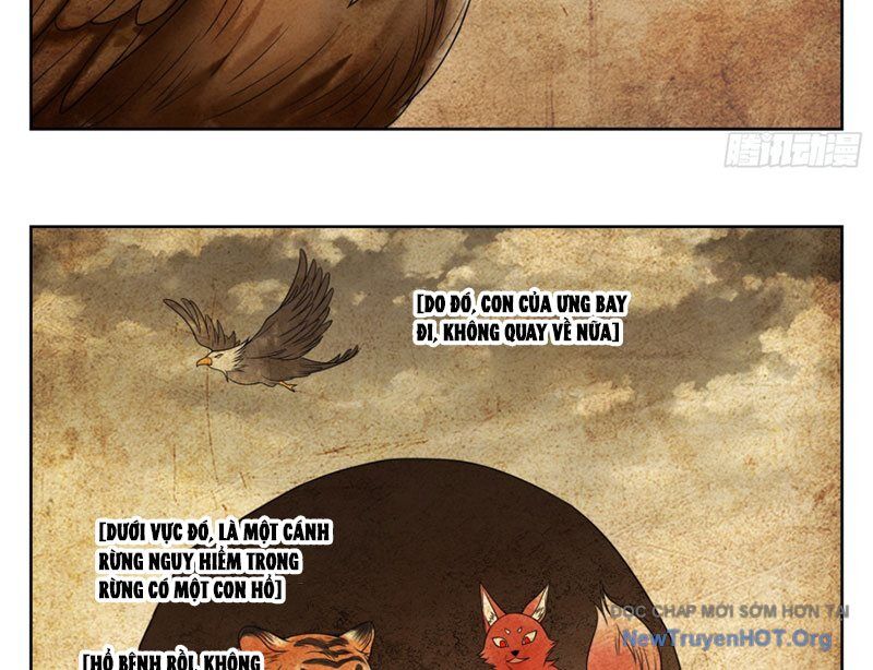 Đại Phụng Đả Canh Nhân - Chapter 533 - Page 31