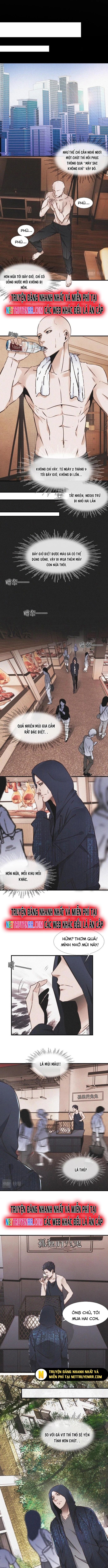 Trải Nghiệm Trở Thành Huyết Tộc - Chapter 2 - Page 3