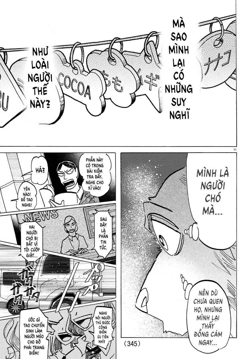 Lý Trí Của Taika - Chapter 26 - Page 10