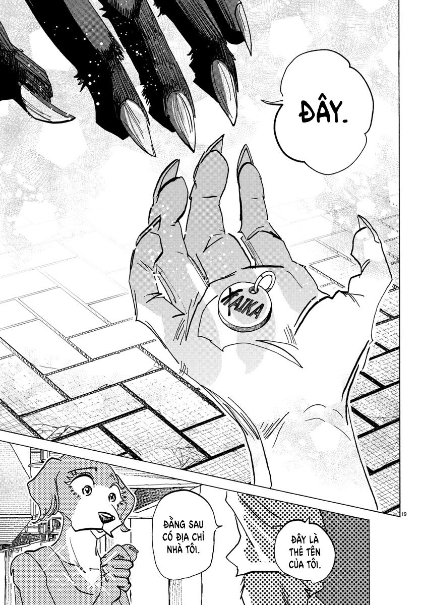 Lý Trí Của Taika - Chapter 26 - Page 17