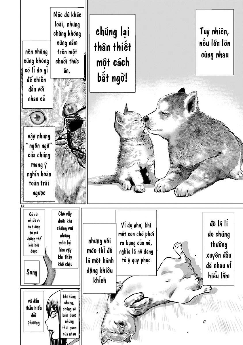 Killing Bites - Chapter 39 - Page 16