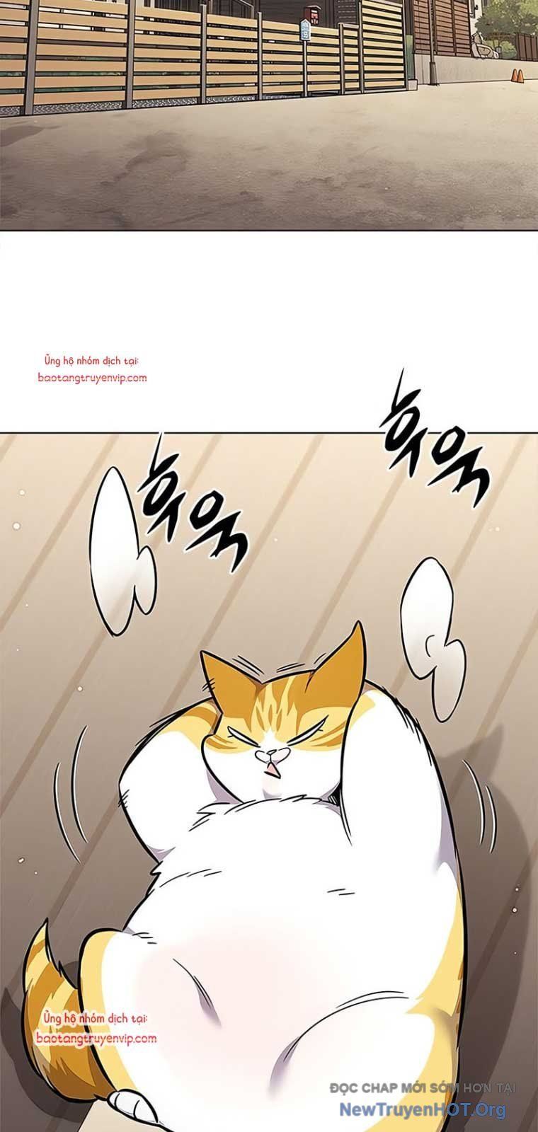 Hoá Thân Thành Mèo - Chapter 355 - Page 51