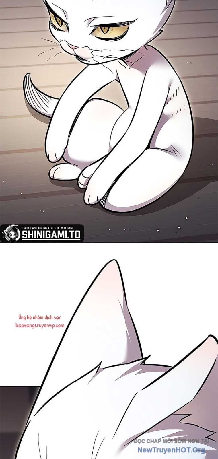 Hoá Thân Thành Mèo - Chapter 355 - Page 61
