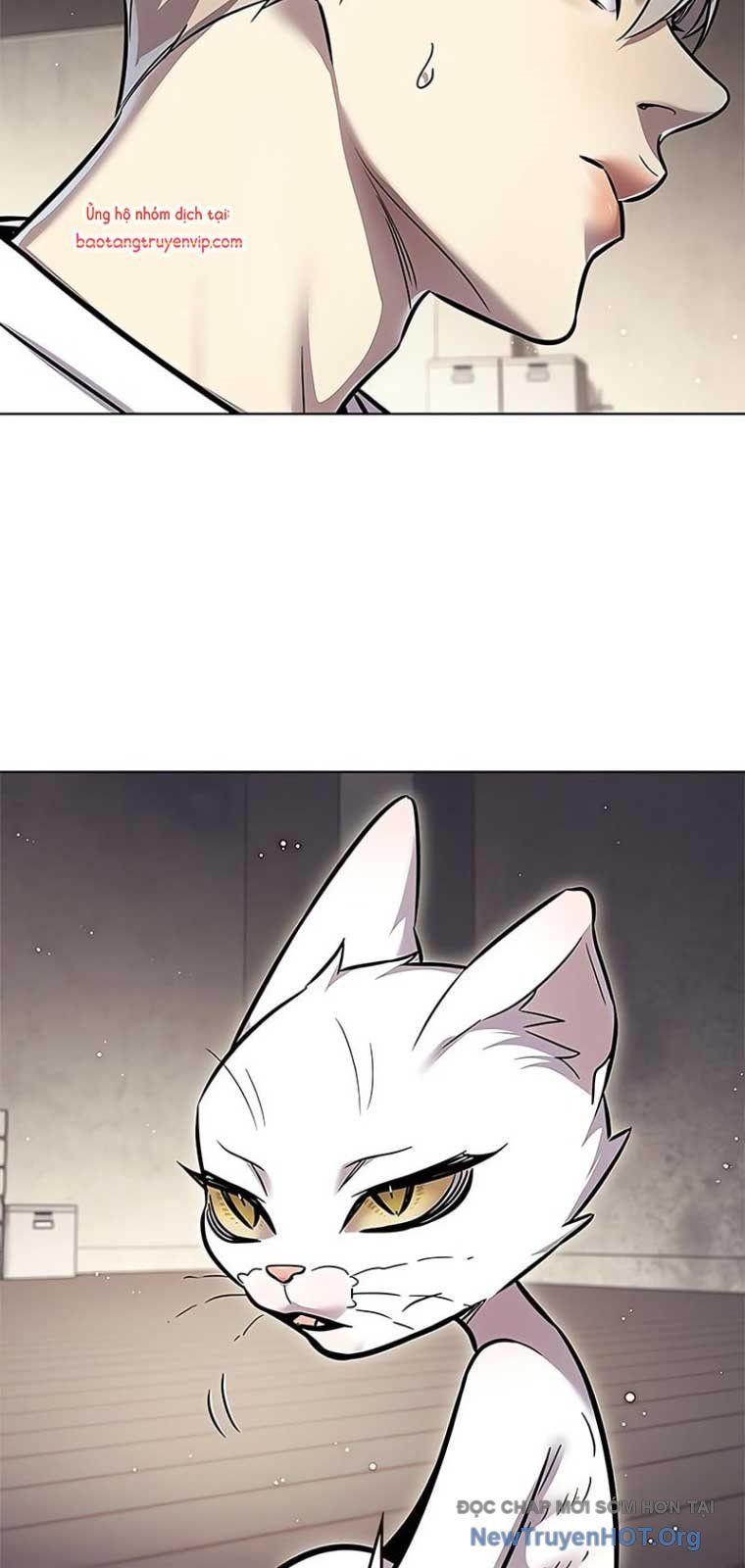 Hoá Thân Thành Mèo - Chapter 355 - Page 66