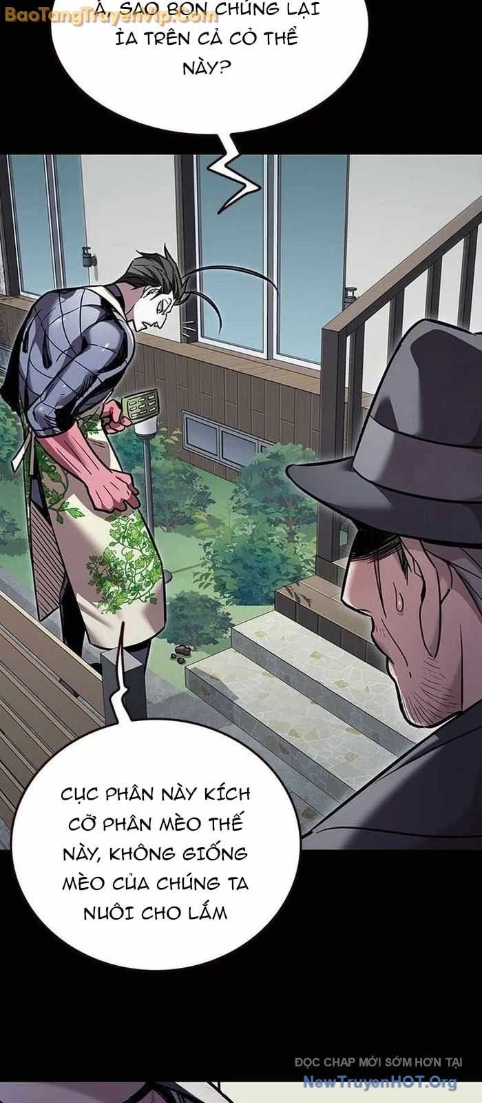 Hoá Thân Thành Mèo - Chapter 356 - Page 24