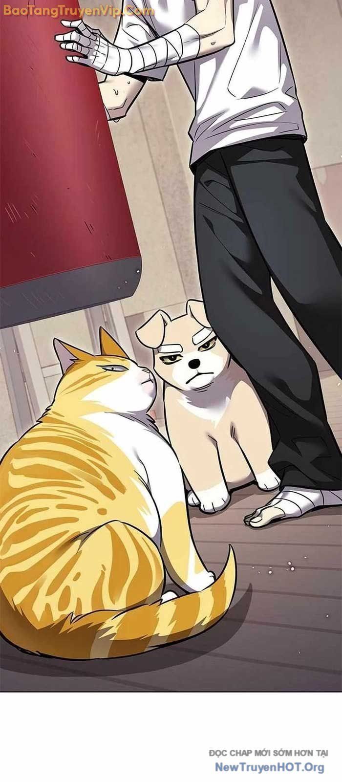 Hoá Thân Thành Mèo - Chapter 356 - Page 77