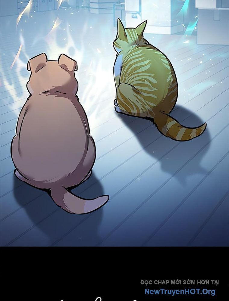 Hoá Thân Thành Mèo - Chapter 362 - Page 25