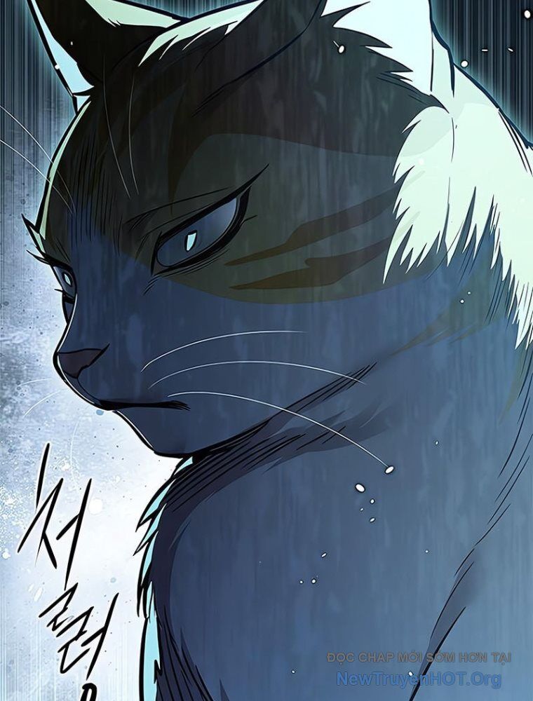 Hoá Thân Thành Mèo - Chapter 362 - Page 29