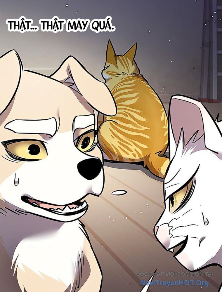 Hoá Thân Thành Mèo - Chapter 362 - Page 32
