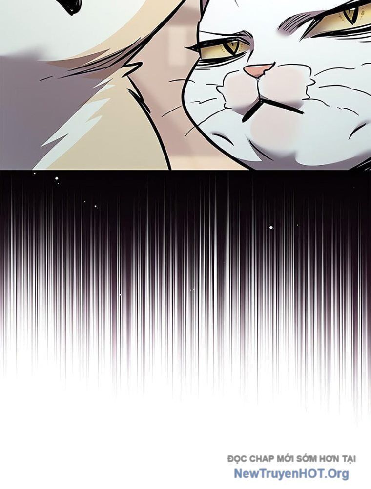 Hoá Thân Thành Mèo - Chapter 362 - Page 39