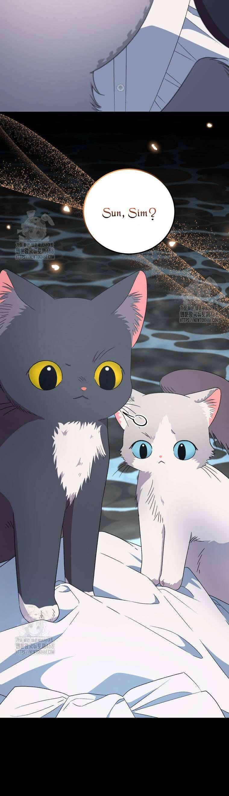 Tôi Trở Thành Mẹ Kế Của Gia Đình Hắc Ám - Chapter 70 - Page 45