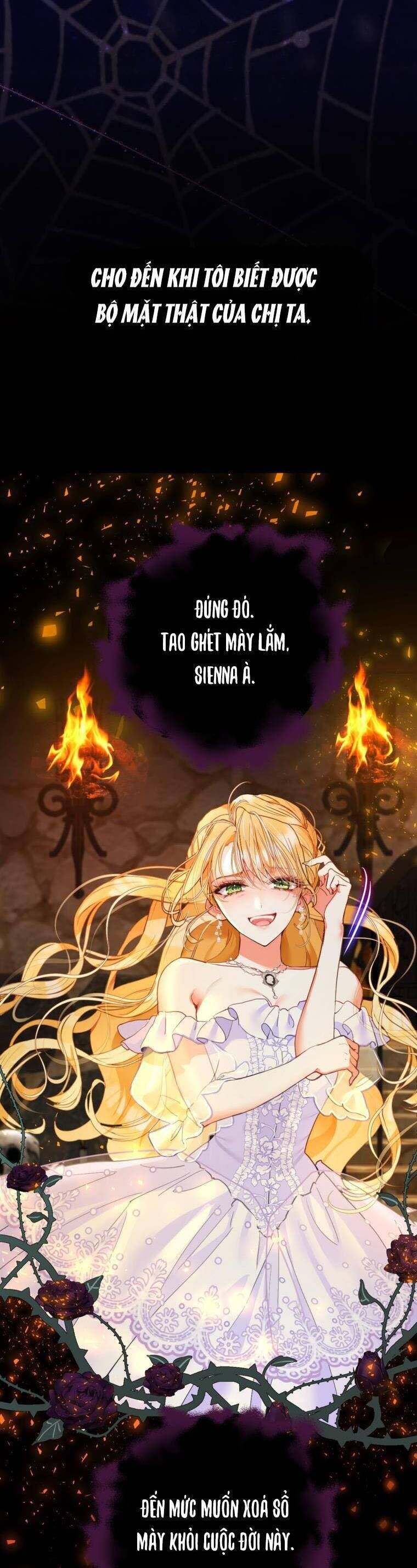 Một Thế Giới Không Có Chị Gái Mà Ai Cũng Yêu - Chapter 1 - Page 11