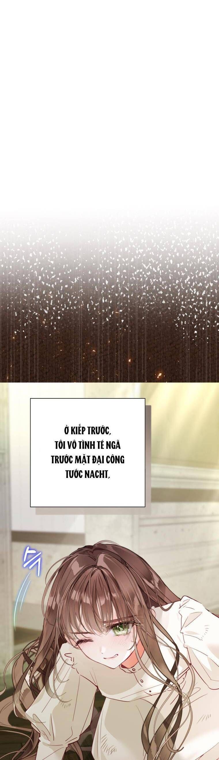 Một Thế Giới Không Có Chị Gái Mà Ai Cũng Yêu - Chapter 1 - Page 46