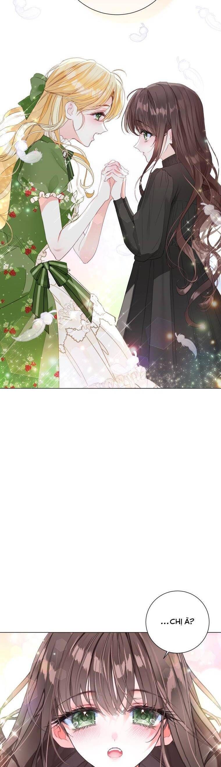 Một Thế Giới Không Có Chị Gái Mà Ai Cũng Yêu - Chapter 2 - Page 27