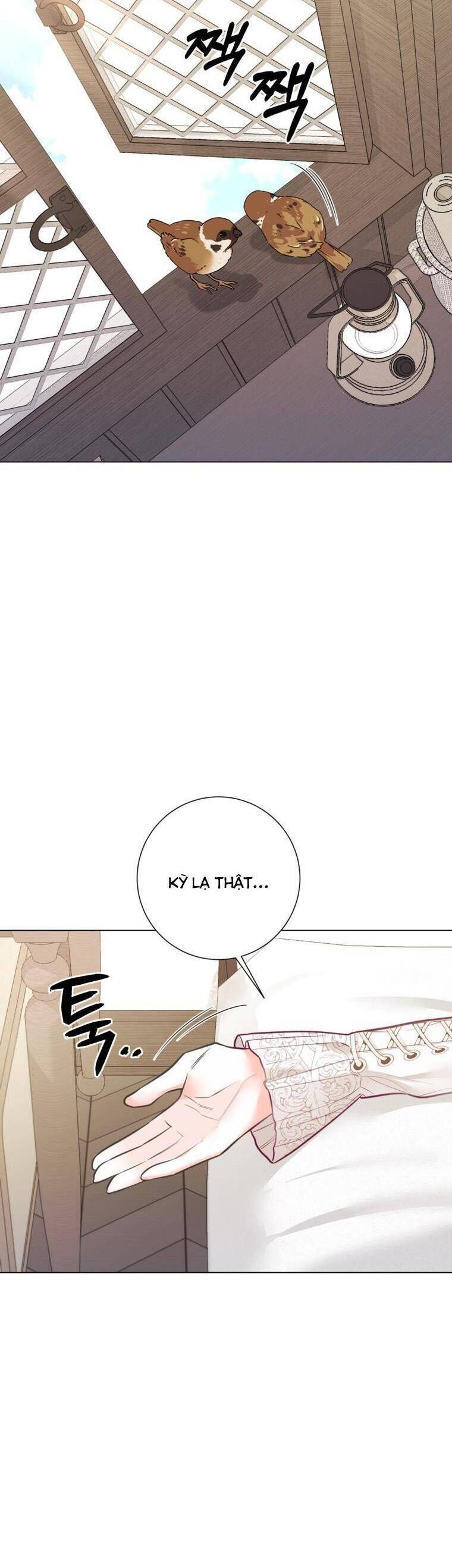 Một Thế Giới Không Có Chị Gái Mà Ai Cũng Yêu - Chapter 25 - Page 27