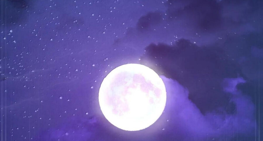 Dũng Giả Này Là Người Theo Chủ Nghĩa Tiền Tài Chí Thượng - Chapter 117 - Page 136