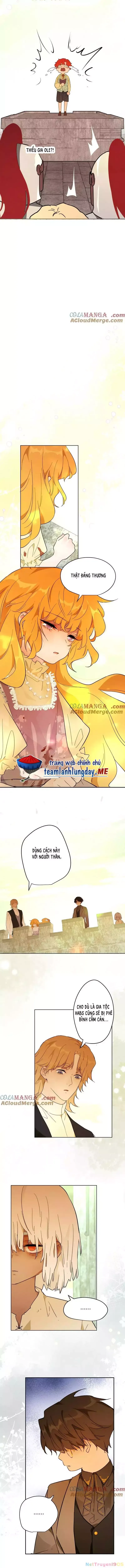 Trở Thành Nữ Hoàng Từ Khi Mới 6 Tuổi - Chapter 41 - Page 3