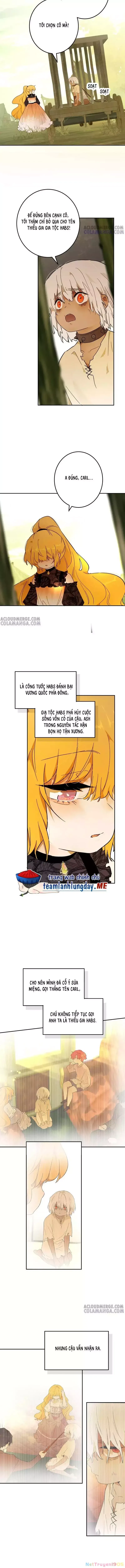 Trở Thành Nữ Hoàng Từ Khi Mới 6 Tuổi - Chapter 45 - Page 3