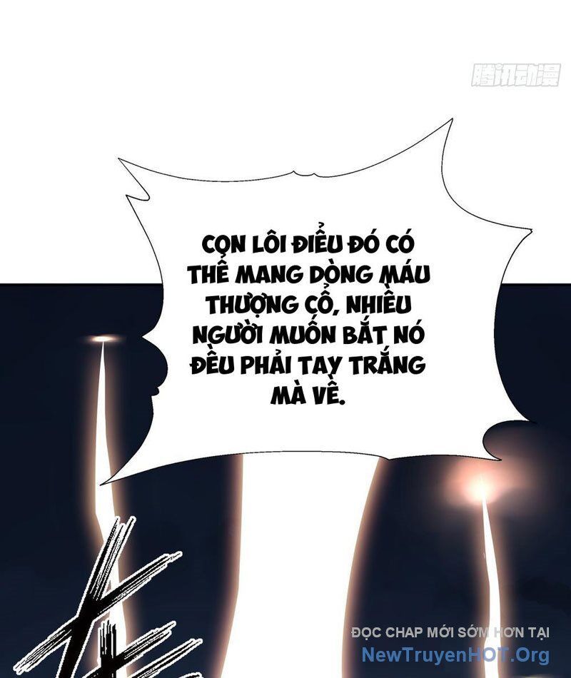 Thái Cổ Thập Hung: Người Khác Ngự Thú Ta Ngự Thú Nương - Chapter 14 - Page 23