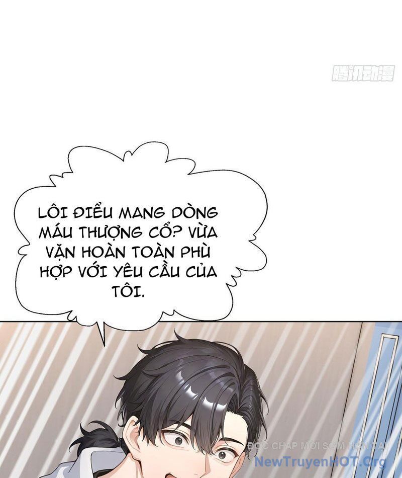 Thái Cổ Thập Hung: Người Khác Ngự Thú Ta Ngự Thú Nương - Chapter 14 - Page 26