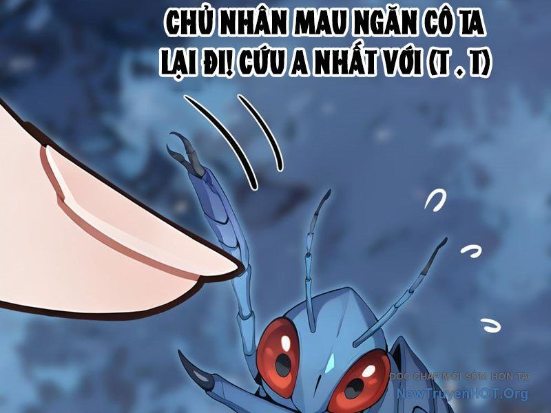 Thái Cổ Thập Hung: Người Khác Ngự Thú Ta Ngự Thú Nương - Chapter 16 - Page 68