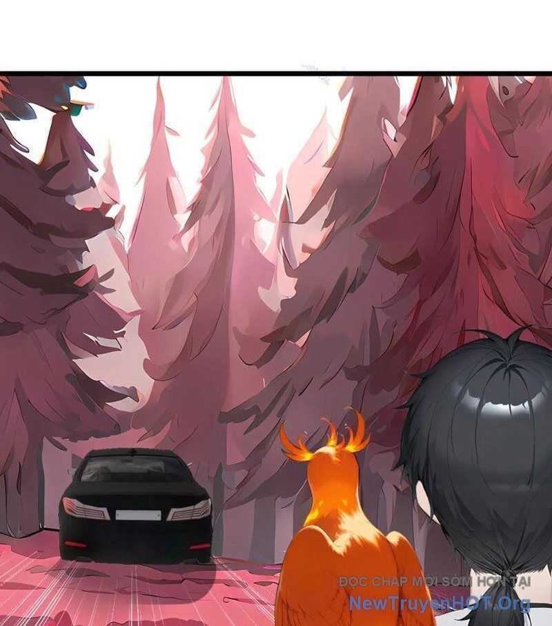 Thái Cổ Thập Hung: Người Khác Ngự Thú Ta Ngự Thú Nương - Chapter 37 - Page 13