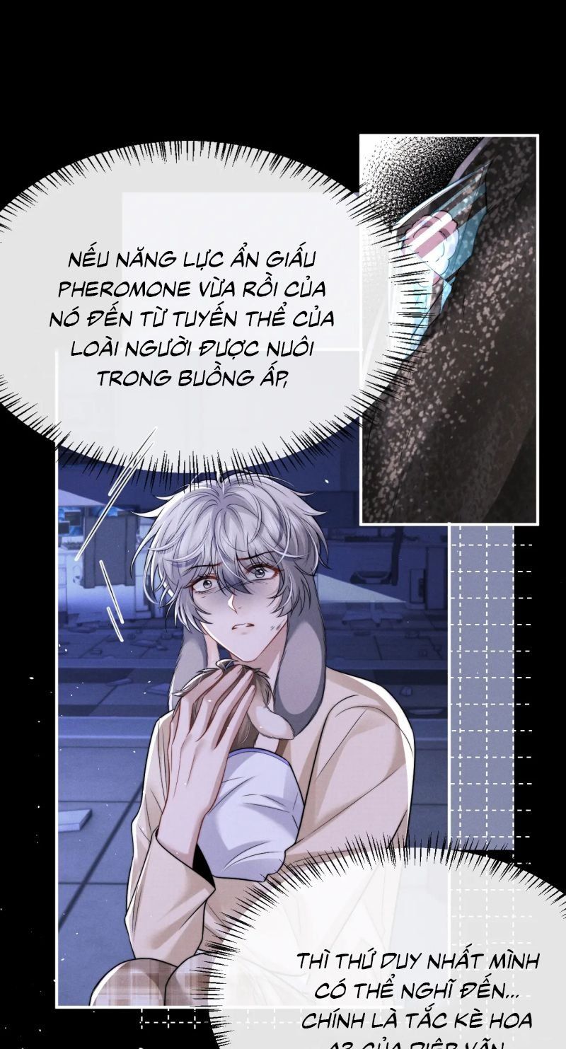 Chấp Sự Thỏ Cụp Tai - Chapter 170 - Page 8