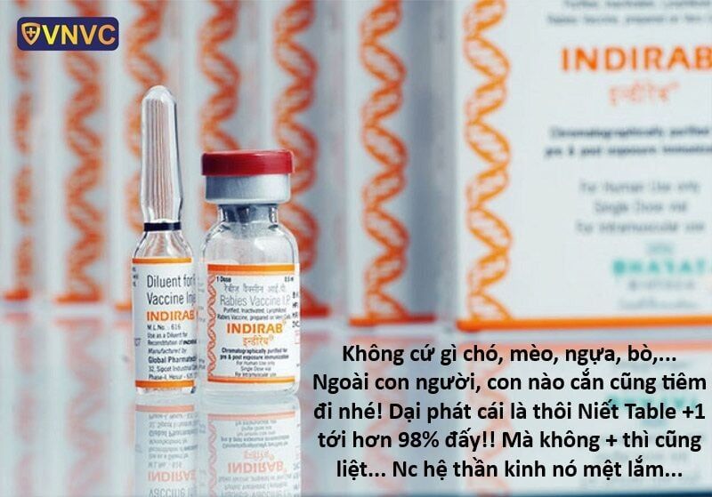 Hổ Đến Chơi Nhà - Chapter 151 - Page 9