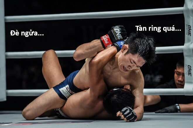 Hổ Đến Chơi Nhà - Chapter 152 - Page 7