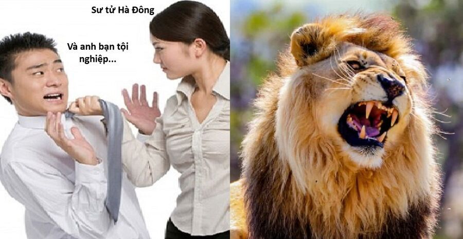 Hổ Đến Chơi Nhà - Chapter 152 - Page 8