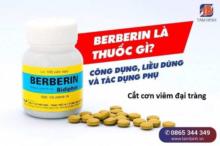 Hổ Đến Chơi Nhà - Chapter 153 - Page 9