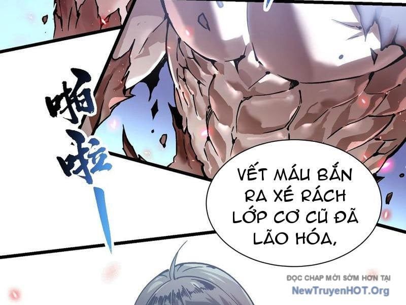 Cao Võ Tiến Hóa: Bắt Đầu Thức Tỉnh Quái Thú Chi Vương Chapter 48 - Trang 72