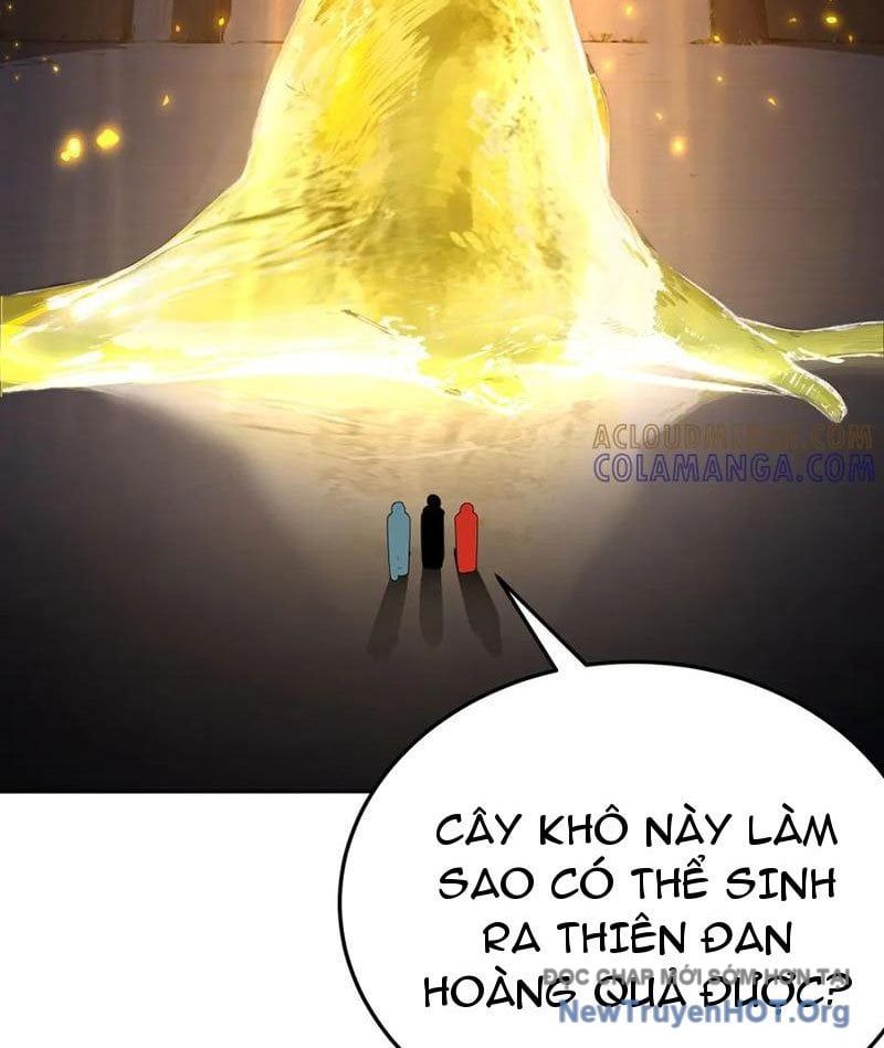 Hóa Ra Các Cô Ấy Mới Là Nhân Vật Chính - Chapter 105 - Page 71