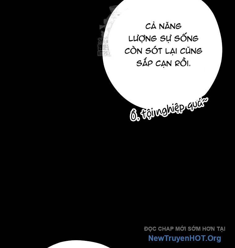 Tái Thiết Hầm Ngục - Chapter 257 - Page 8