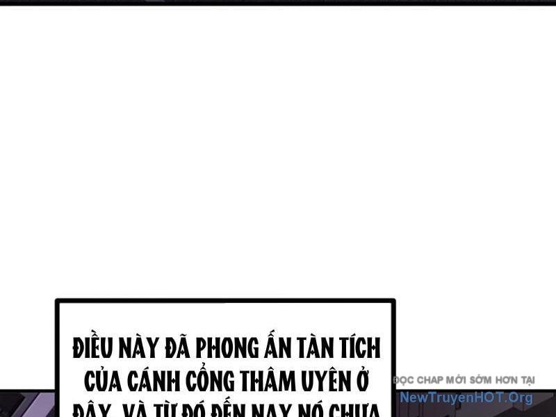 Ta Nhặt Rác Thượng Vương Giả - Chapter 77 - Page 22