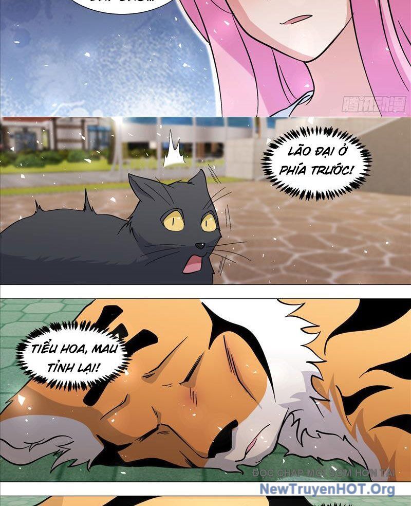 Trọng Sinh Thành Chó Của Nữ Thần - Chapter 388 - Page 10