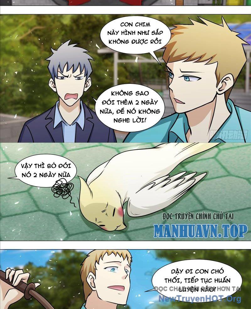 Trọng Sinh Thành Chó Của Nữ Thần - Chapter 388 - Page 4