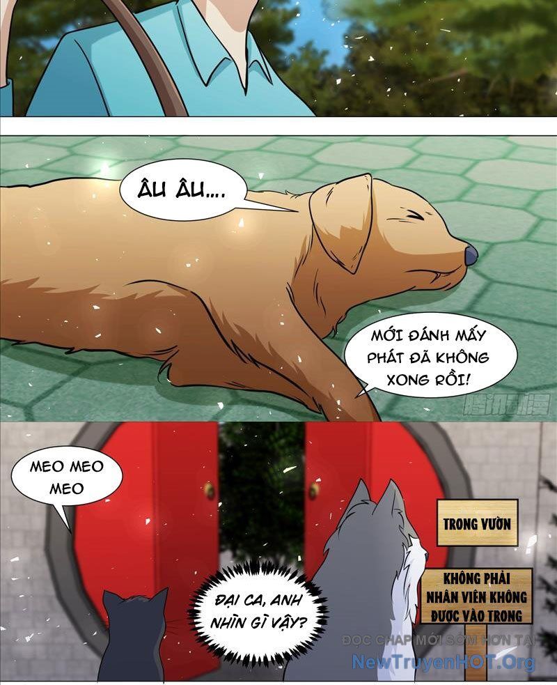 Trọng Sinh Thành Chó Của Nữ Thần - Chapter 388 - Page 5