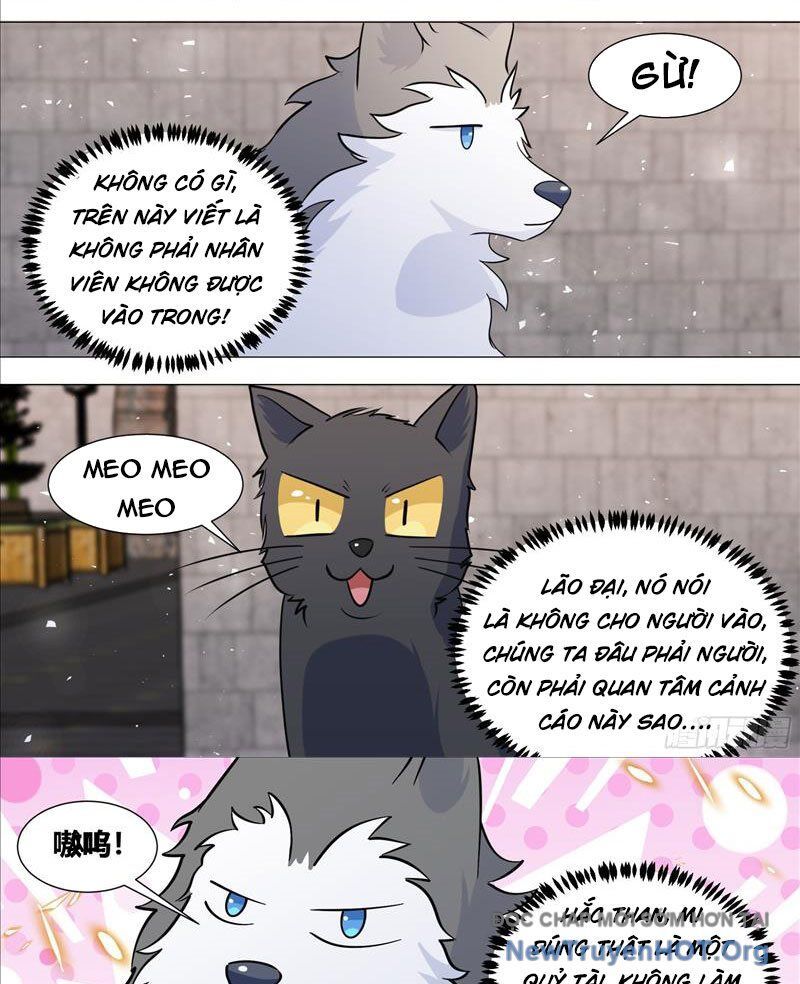 Trọng Sinh Thành Chó Của Nữ Thần - Chapter 388 - Page 6